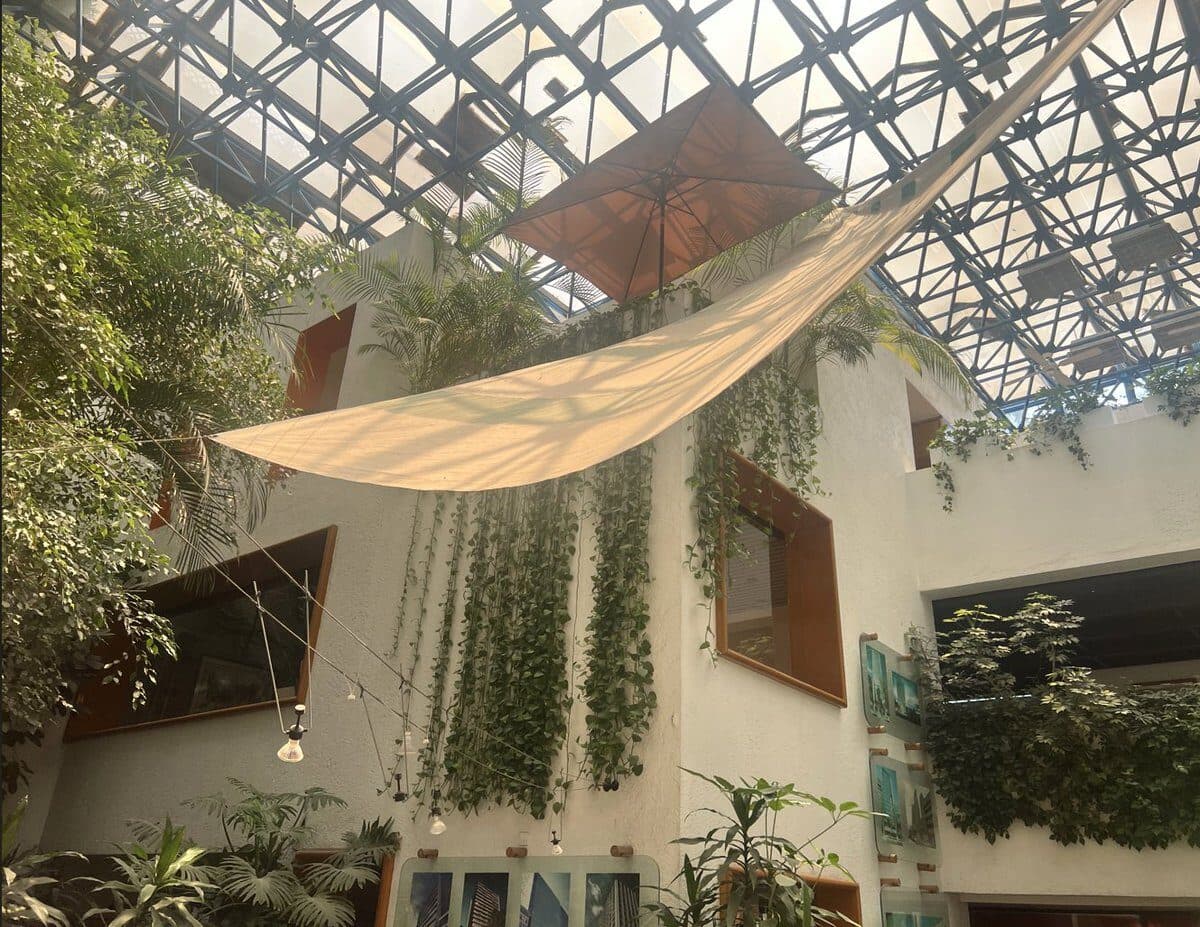 El atrio con techo de cristal de la casa, con plantas colgantes y una vela de lona